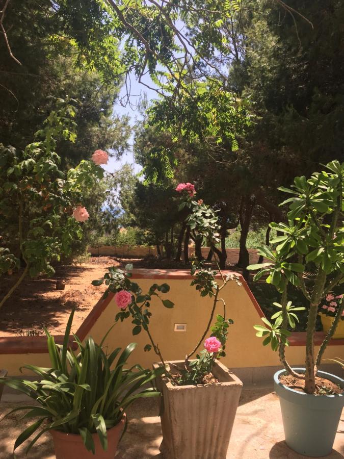 Triscina Mediterraneo מראה חיצוני תמונה